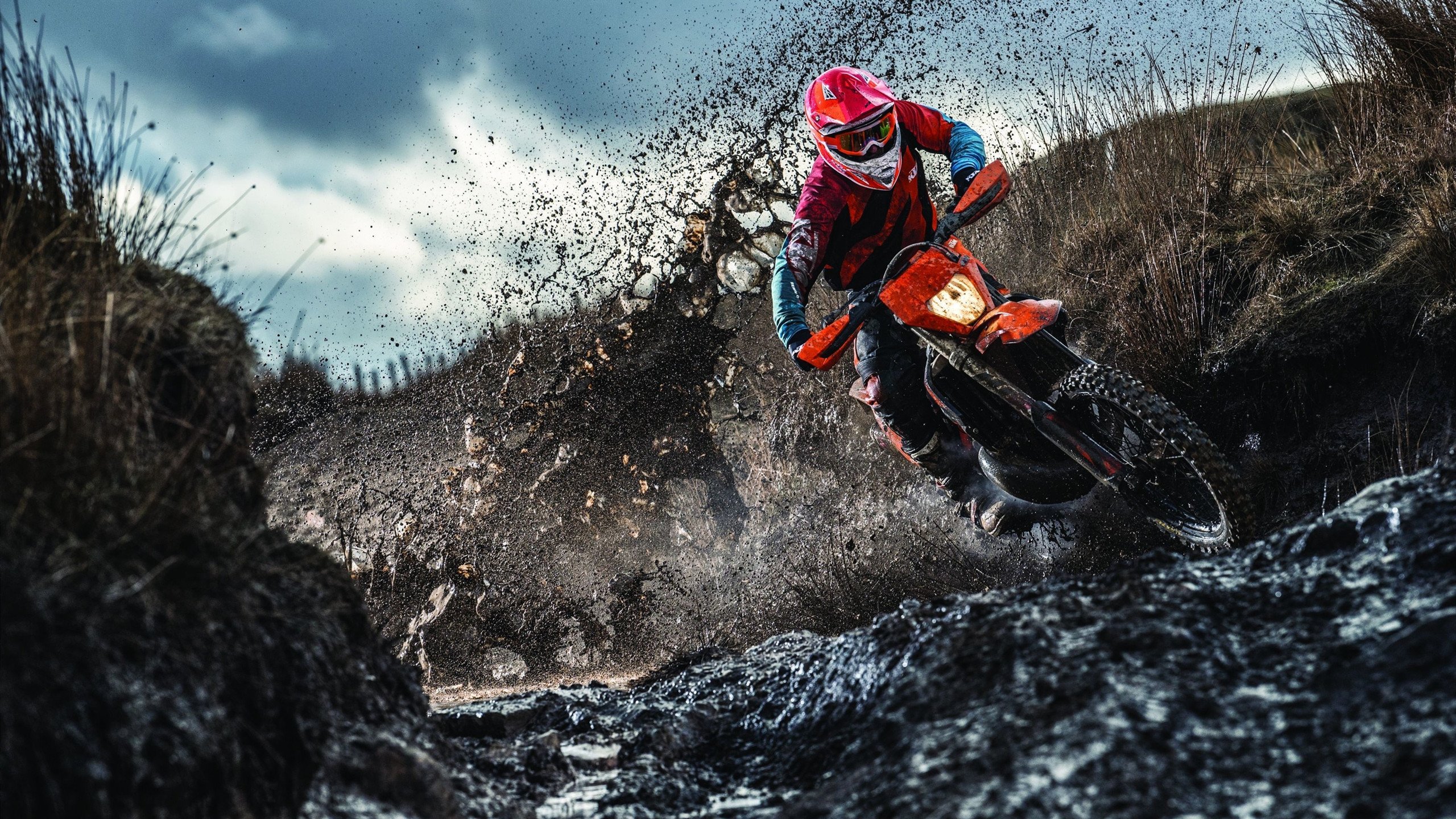 体育改革政策落地效果初显，体育改革2020